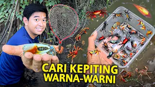 HUNTING KEPITING WARNA-WARNI LANGSUNG DI ALAM! BANYAK BANGET HEWAN ANEH DISINI!