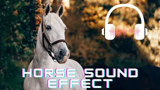 Horse sound effect | Horse neighing sounds| Horse sounds | What sounds does a horse make?