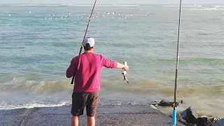 Man catches a baby 🦈 SHARK, Strand Beach, Cape Town