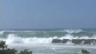 Winter Waves at Sharks Cove