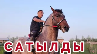 Тай Буруул Сатылды✊️