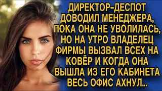 Директор довел Лену до увольнения, но утро главный босс вызвал её на ковёр, когда вышла офис...