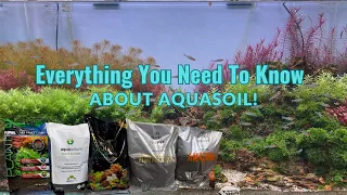 Everything You Need To Know About Aquasoil!
