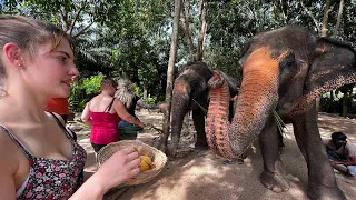 Travel Vlog: Koh Samui Elephant home 10/10