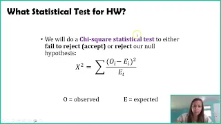 A Crash Course into Statistics for Hardy Weinberg