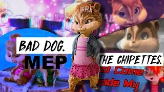 Bad Dog - Chipettes [MEP]