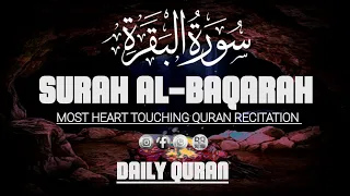 Relaxing Surah Al Baqarah Full (سورة البقره) Touching Voice |Beautiful video DAILYQURAN  25 May 2024