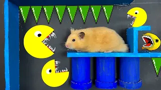 🐹 Yellow Hamster Escape Pets Maze Traps Great Hamster Stories - Series Hamster Pacman