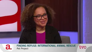 Finding Refuge: International Animal Rescue