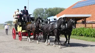 24e Fraeylema Koetsentocht 2019 vanuit de Paarden Sport Centrum ''Woldstreek''