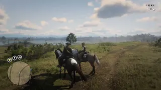 Sneeze Shoot and Magical Moment, Red Dead Online