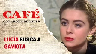 Lucía y Gaviota hablan sobre Sebastián | Café, con aroma de mujer