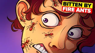 I Was Swarmed By Fire Ants And Survived (True Story)