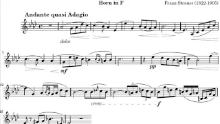 Franz Strauss Nocturno Op.7 for Horn (Audio)