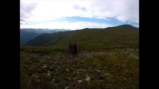 6 day hike through the Altai mountains in Siberia.