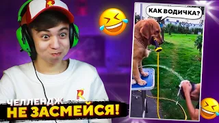 😂 Собака ЗА ЧТО??? ➢ НЕ ЗАСМЕЙСЯ ЧЕЛЛЕНДЖ или МАМИНА ПОДБОРКА #46