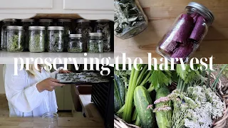 One of my FAVORITE Forms of Food Preservation | Preserving the Harvest | Homestead Pantry