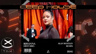 Rihanna - Disturbia (Sean Westley Remix) [Extended] 😍🔥