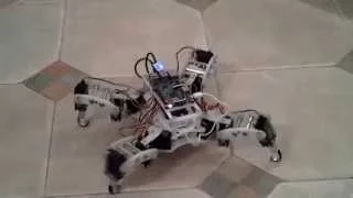 e5 - Quadruped robot trot gait