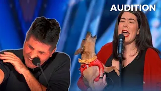 Pam & Casper THE SINGING DOG Has Simon Cowell Melting Away on America's Got Talent