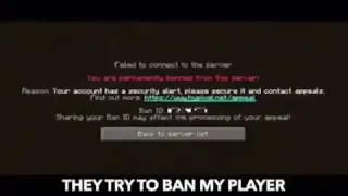 ransom minecraft parody