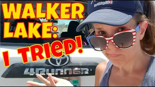 Walker Lake: Conspiracies and Real Life Horrors