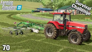 SELLING EGGS AND GRASS WORK - Survival Challenge FS22 Calm Lands Ep 70