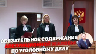 Содержание апелляционной жалобы по уголовному делу