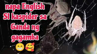 Bagong spot na pa English SI kaspider sa Ganda ng gagamba 😁🥰