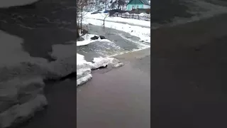 Новая Водолага весной