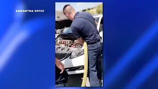 EPFD rescues cat stuck in car engine