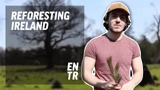 I planted 10,000 trees to restore Ireland's biodiversity