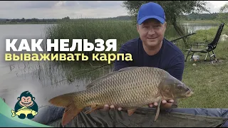 Ловля карпа на деревенском пруду. Как нельзя вываживать карпа.