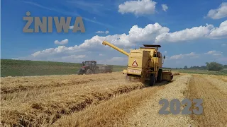 Żniwa 2023 🌾 Pierwsi we wsi🔥 Jęczmień ozimy ✔️ Podkarpackie