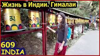 Индия Дели - Дхарамсала Едем в Гималаи. Маленький Париж в Дели