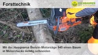 Mit der Husqvarna Profi Leichtstart Benzin-Motorsäge 545 Mark 2 einen Baum in Meterstücke schneiden