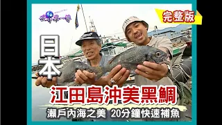 【日本】瀨戶內海海鮮大本營 （江田島沖美黑鯛／20分鐘快速補魚／岡山白桃／路面電車／倉敷備前燒）｜《世界第一等》155集小馬完整版