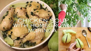 Authentic Chicken Tinola Recipe with Homegrown Moringa |Chicken Soup for Flu & Cold Season|Slow Life