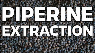 Piperine Extraction from Black Pepper