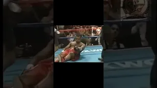 Roy Jones vs Montell Griffin II