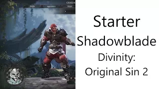 ✅ Basic Starter Shadowblade in Divinity: Original Sin 2