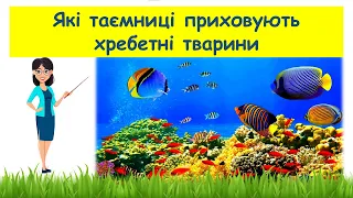 Які таємниці приховують хребетні тварини // Пізнаємо природу 5 клас НУШ