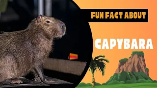 Capybara Fun Facts: 06 Surprising Things You Didn't Know About the World's Largest Rodent