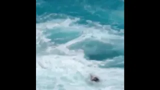 Tourists Swept Out to Sea at Lanai Lookout, Honolulu