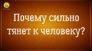 Сильное притяжение к человеку, к мужчине. Кармическая любовь.