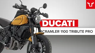 The BEST accessories for the Ducati Scrambler 1100 Tribute Pro