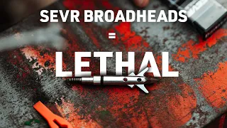 SEVR Broadheads are LETHAL