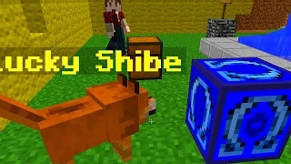 Minecraft OMEGA Lucky Blocks Mod (PET DOGE)