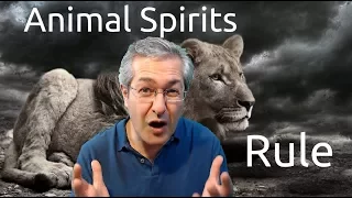 Animal Spirits Rule