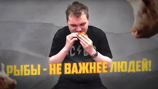 ЗЕЛЕНСКИЙ И ЛУЦК, ХОВАНСКИЙ КРИТИКУЕТ ФИЛЬМ ЗЕМЛЯНЕ